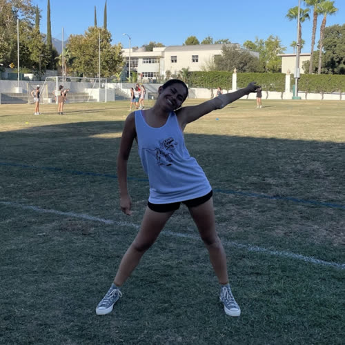 Picture of Foxgloves